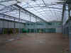 Mill, Poly Tunnels Etc 044.jpg (677422 bytes)